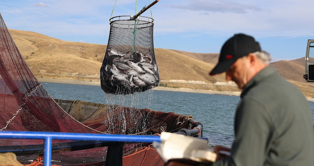 bayburtta hasadi basladi tonlarca urun rusya yolunda wVFQW6N1