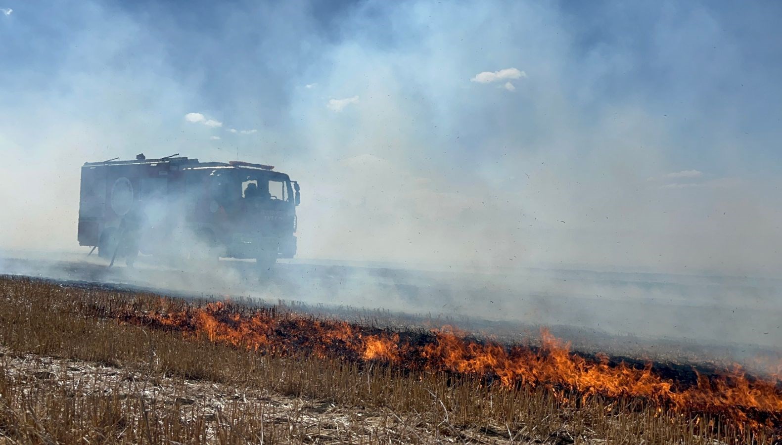 tekirdagda 500 donum aniz kule dondu tvm7kkVK