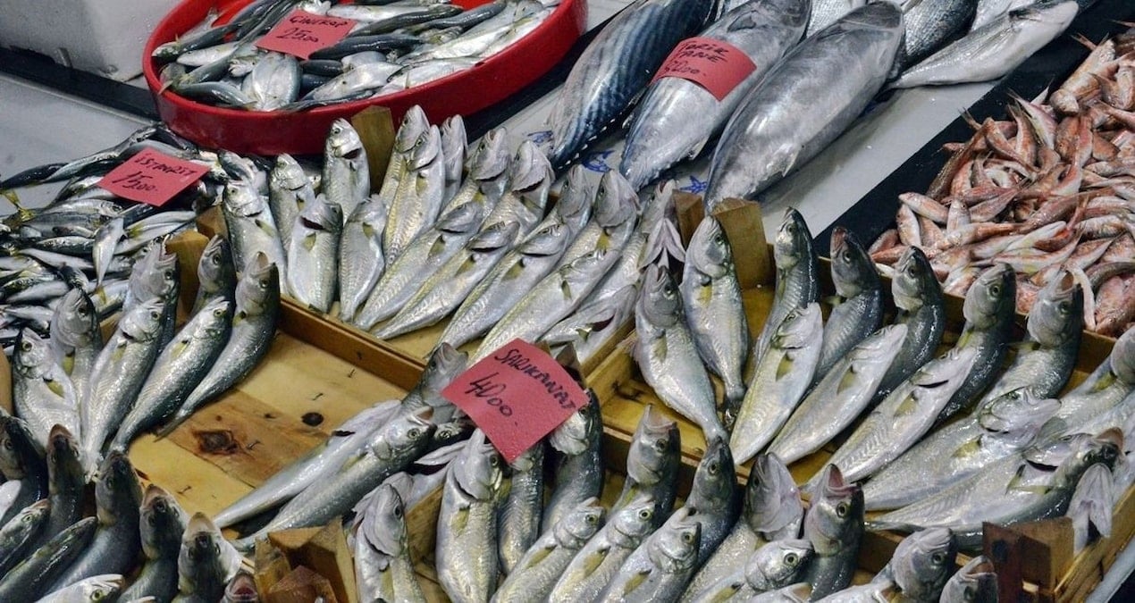 vatandas bu yil baliga doyacak kilosu 100 liraya kadar dustu mFqp2iWs