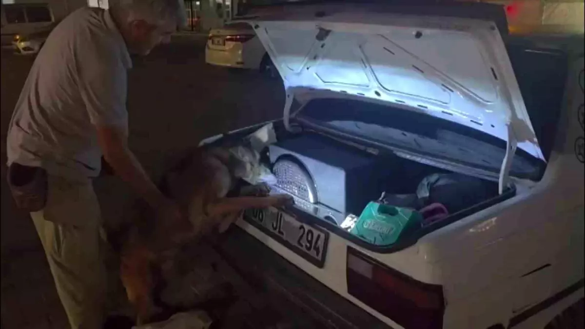 adanada uyusturucu hap operasyonu tgNOrIQE